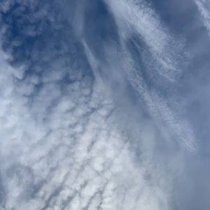 Meet your Posher, Mariah